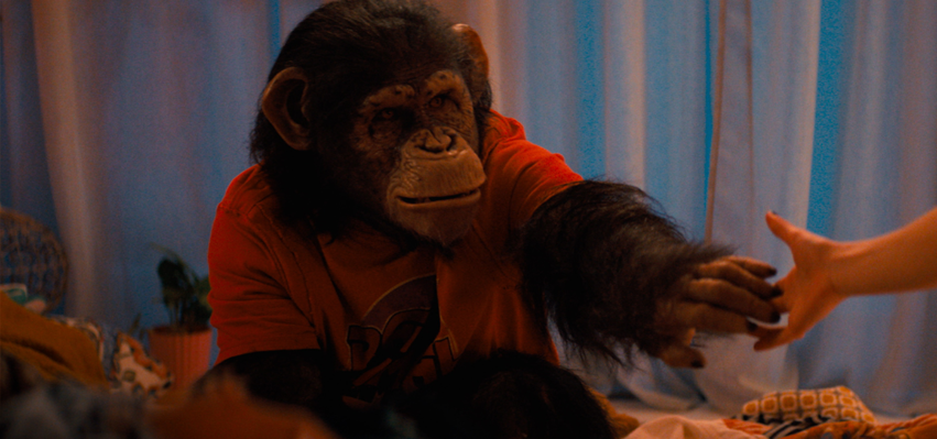 MOVIE REVIEW – PRIMATE (2026) succeeds in scaring up laughs as a throwback to Grindhouse-era creature feature cult classics.